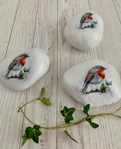 Remembrance Robin Pebble, Memorial Robin Stone, Robin Pebble, Memorial Keepsake Gift, Pebble Gift, Remembrance Gift. Paperweight.