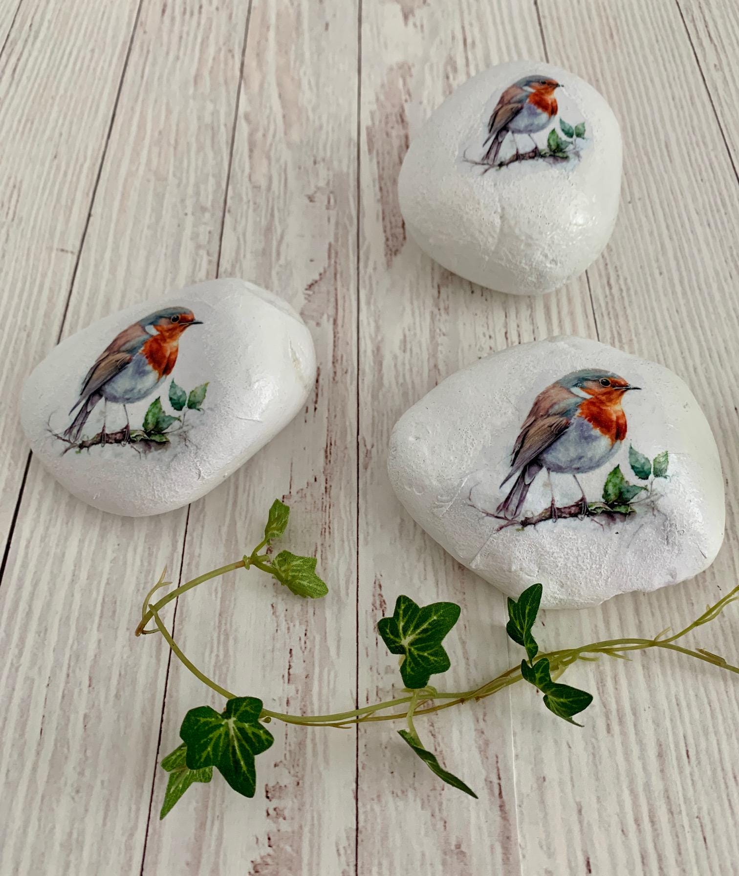 Remembrance Robin Pebble, Memorial Robin Stone, Robin Pebble, Memorial Keepsake Gift, Pebble Gift, Remembrance Gift. Paperweight.